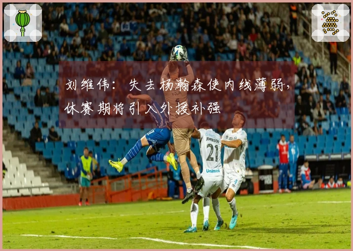 刘维伟：失去杨瀚森使内线薄弱，休赛期将引入外援补强