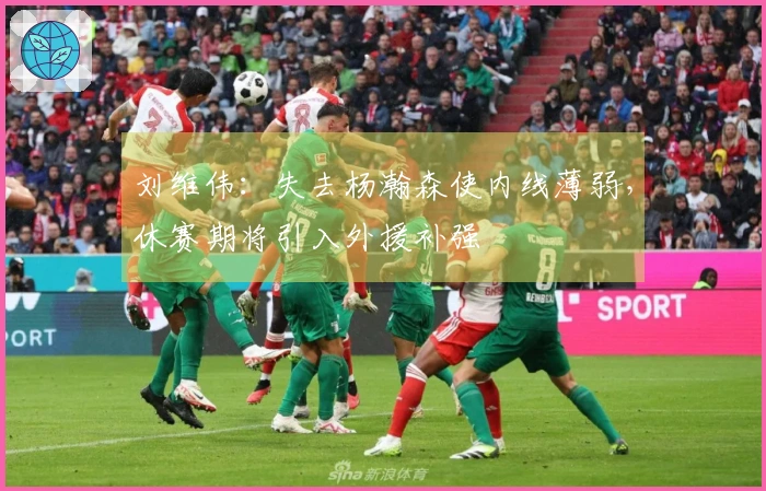 刘维伟：失去杨瀚森使内线薄弱，休赛期将引入外援补强